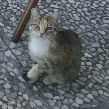0