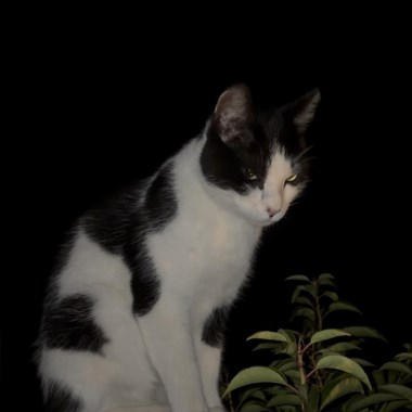 0