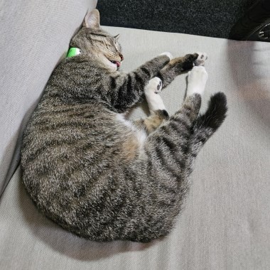 0