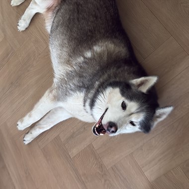 0