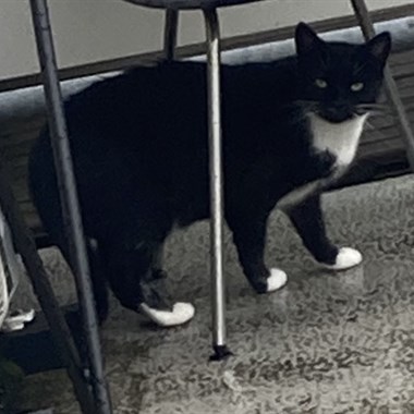 0
