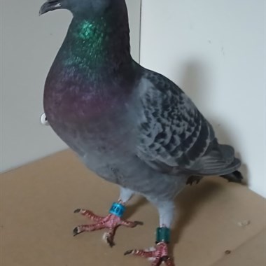 0