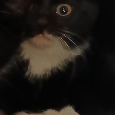 0