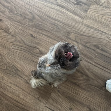 0