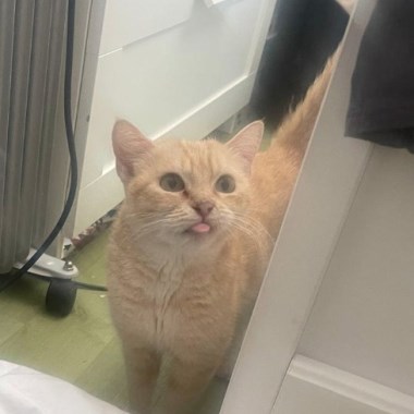 0