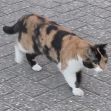 0