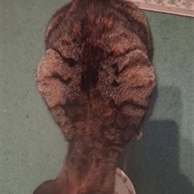 0