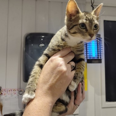 0