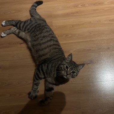 0