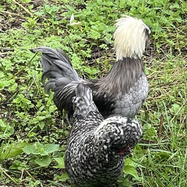 0