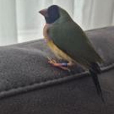 0