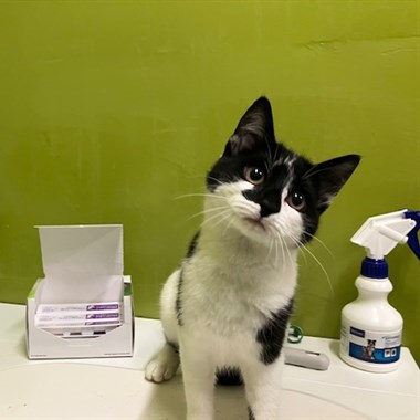 0