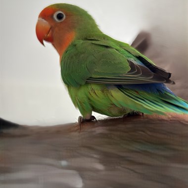 0